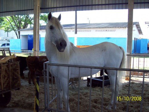 Fazendinha do Tio Claudinho