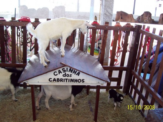 Fazendinha do Tio Claudinho