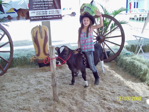 Fazendinha do Tio Claudinho