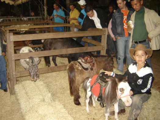 Fazendinha do Tio Claudinho