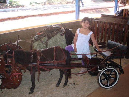 Fazendinha do Tio Claudinho