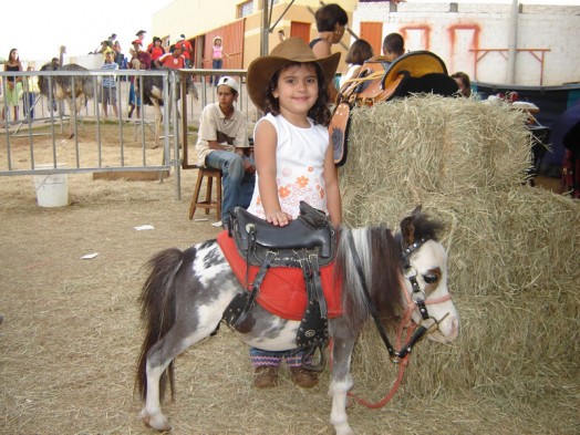 Fazendinha do Tio Claudinho