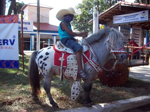 Fazendinha do Tio Claudinho