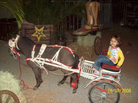 Fazendinha do Tio Claudinho