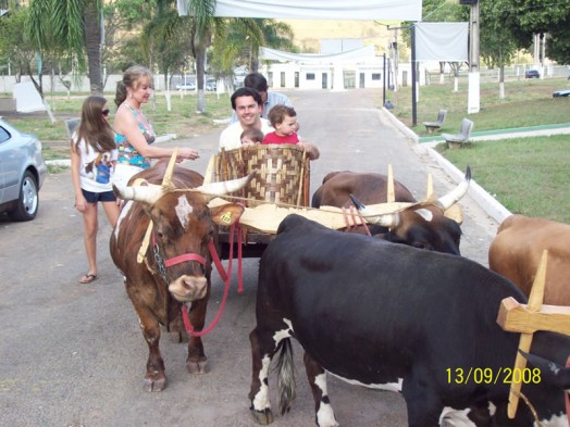 Fazendinha do Tio Claudinho