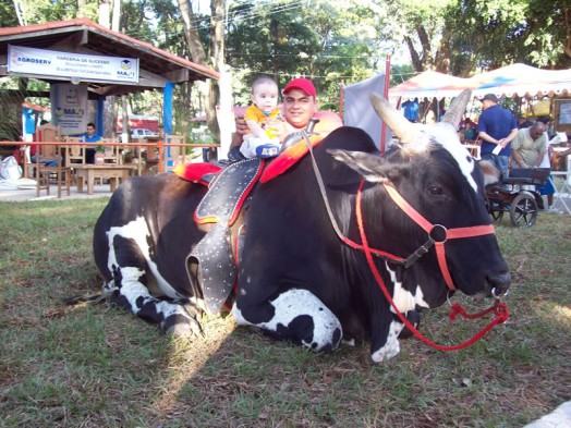 Fazendinha do Tio Claudinho