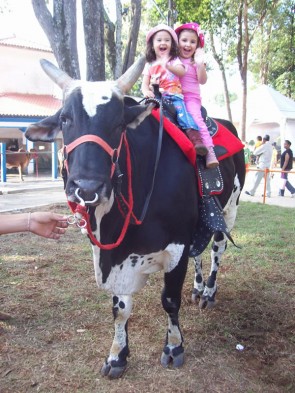 Fazendinha do Tio Claudinho