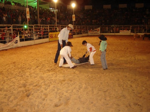 Fazendinha do Tio Claudinho