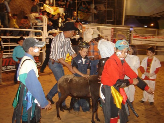 Fazendinha do Tio Claudinho