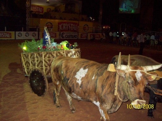 Fazendinha do Tio Claudinho