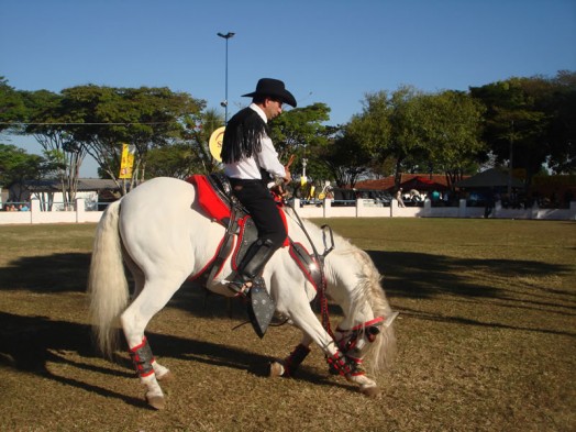 Fazendinha do Tio Claudinho