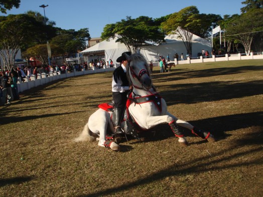 Fazendinha do Tio Claudinho