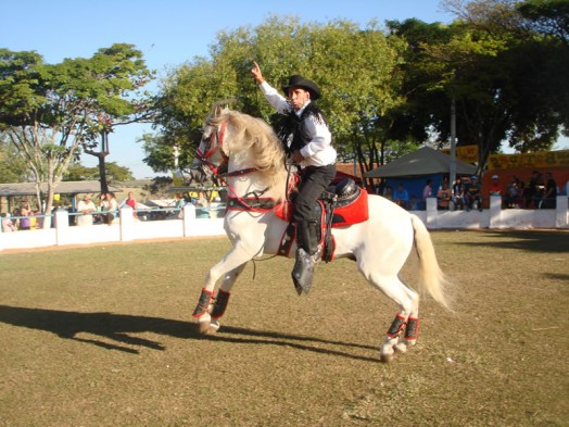 Fazendinha do Tio Claudinho