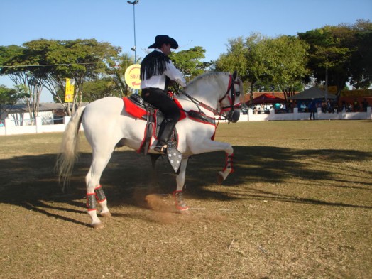 Fazendinha do Tio Claudinho