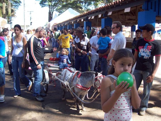 Fazendinha do Tio Claudinho