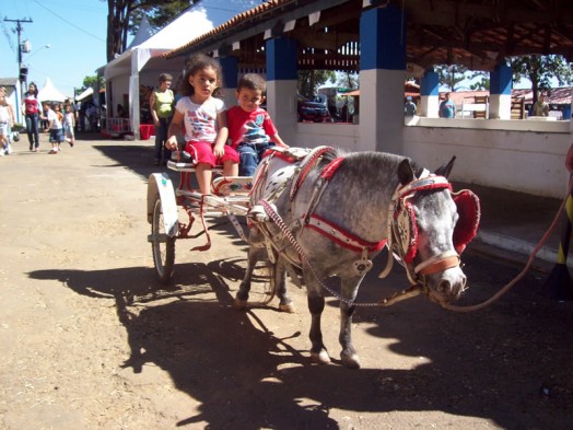 Fazendinha do Tio Claudinho