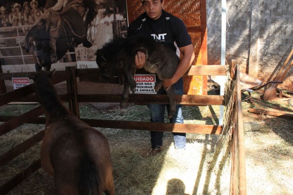 Fazendinha do Tio Claudinho