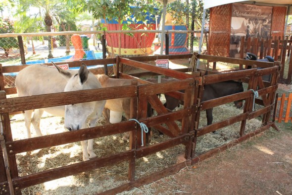 Fazendinha do Tio Claudinho