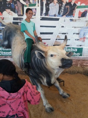 Fazendinha do Tio Claudinho